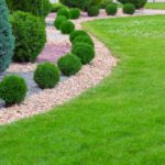 Shrub and Tree Installation